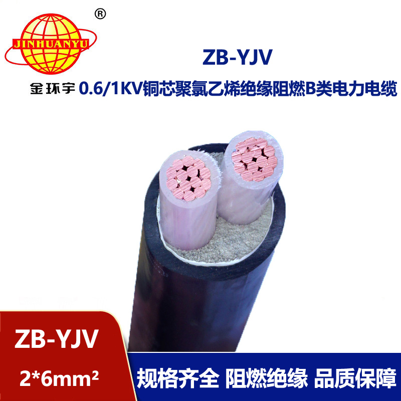 金環宇電纜 ZB-YJV 2X6平方 阻燃電纜yjv 深圳電力電纜廠